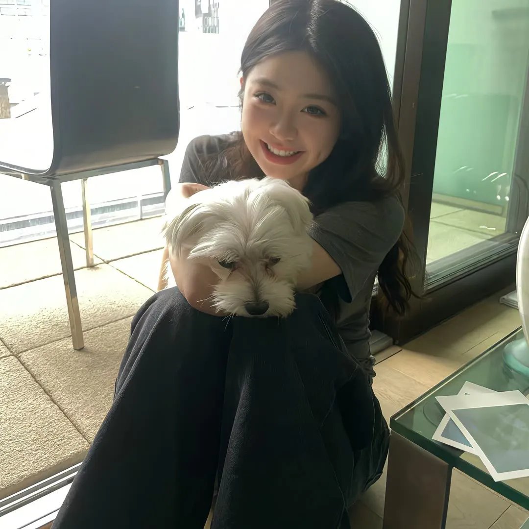 八犬传:东方八犬异闻